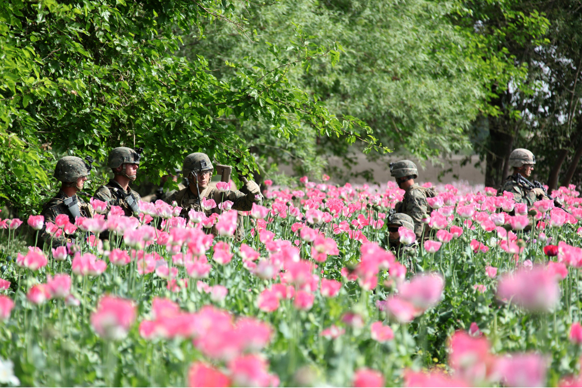 Marines statunitensi durante un pattugliamento in un campo di papaveri nella provincia di Helmand. 